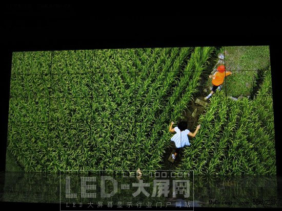 超窄6.5mm間距 夏普打造多屏顯示墻