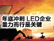 כ_LEDIPI